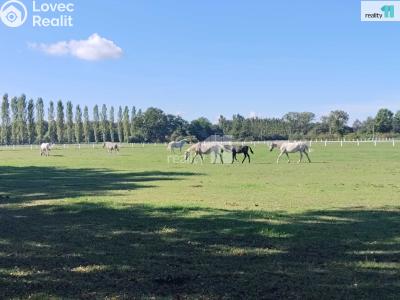 Prodej rodinného domu Labské Chrčice č. 35