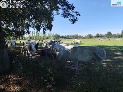 Prodej rodinného domu Labské Chrčice č. 36