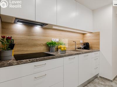 Pronájem bytu 1+KK Praha, Rubličova č. 9