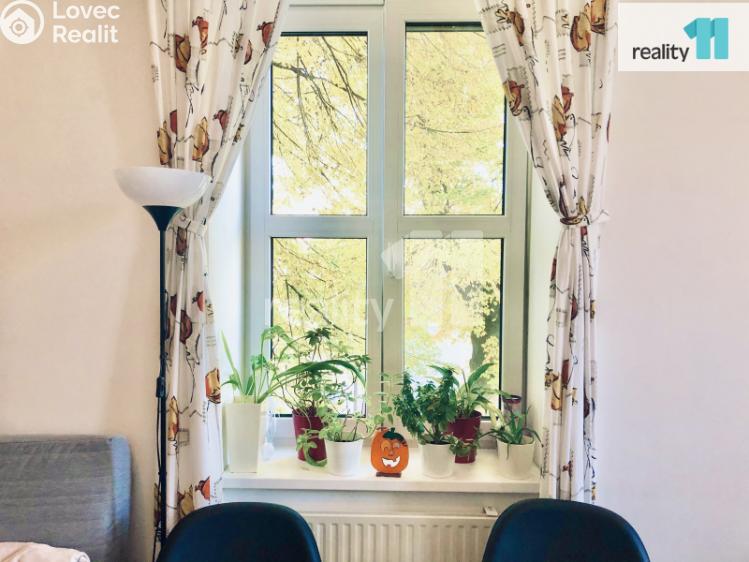 Pronájem bytu 2+KK Praha, Drnovská 22/53 č. 6