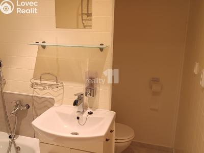 Pronájem bytu 2+KK Ústí nad Labem, Obvodová č. 9