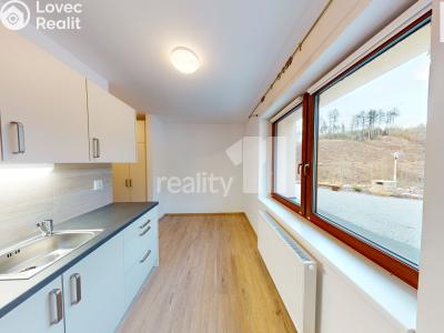 Pronájem bytu 1+1 Světlá nad Sázavou č. 3