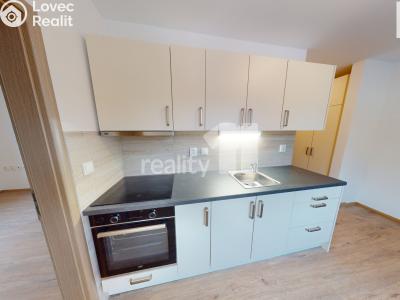 Pronájem bytu 1+1 Světlá nad Sázavou č. 6