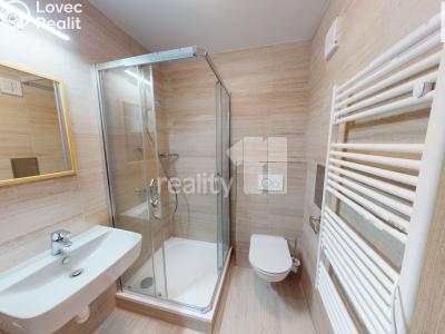 Pronájem bytu 1+1 Světlá nad Sázavou č. 9