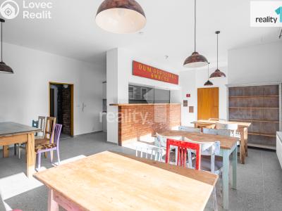 Pronájem bytu 1+1 Světlá nad Sázavou č. 10