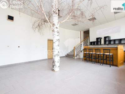 Pronájem kanceláře Liberec, Jeronýmova č. 14