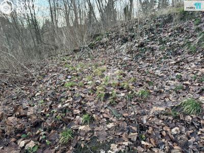 Prodej zahrady Mimoň, Mírová 74 č. 6