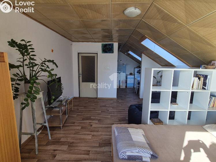 Pronájem bytu 1+1 Bojkovice, Bezručova čtvrť 564 č. 1