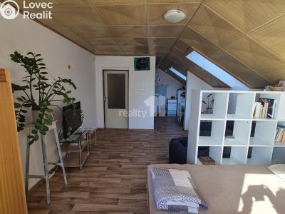 Pronájem bytu 1+1 Bojkovice, Bezručova čtvrť 564 č. 1