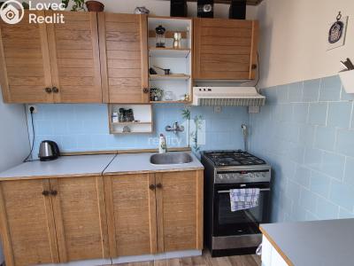 Pronájem bytu 1+1 Bojkovice, Bezručova čtvrť 564 č. 2