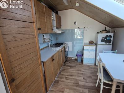 Pronájem bytu 1+1 Bojkovice, Bezručova čtvrť 564 č. 3