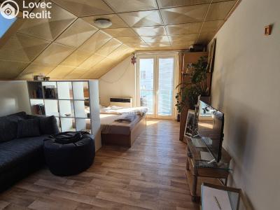 Pronájem bytu 1+1 Bojkovice, Bezručova čtvrť 564 č. 4