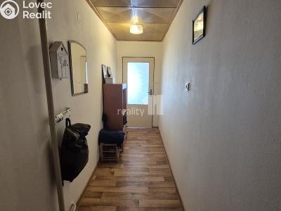 Pronájem bytu 1+1 Bojkovice, Bezručova čtvrť 564 č. 5