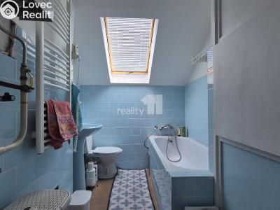 Pronájem bytu 1+1 Bojkovice, Bezručova čtvrť 564 č. 6