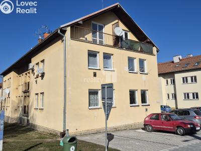 Pronájem bytu 1+1 Bojkovice, Bezručova čtvrť 564 č. 8