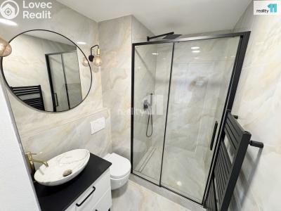 Pronájem bytu 1+1 Ústí nad Labem, Ořechová č. 8