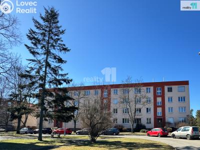 Pronájem bytu 2+1 Plzeň, Stanko Vodičky č. 1
