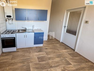 Pronájem bytu 2+1 Plzeň, Stanko Vodičky č. 17