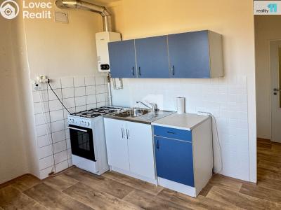 Pronájem bytu 2+1 Plzeň, Stanko Vodičky č. 19