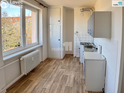 Pronájem bytu 2+1 Plzeň, Stanko Vodičky č. 3