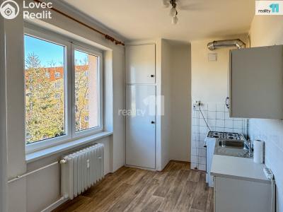 Pronájem bytu 2+1 Plzeň, Stanko Vodičky č. 20