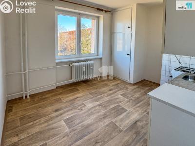 Pronájem bytu 2+1 Plzeň, Stanko Vodičky č. 4
