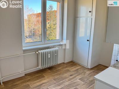 Pronájem bytu 2+1 Plzeň, Stanko Vodičky č. 22