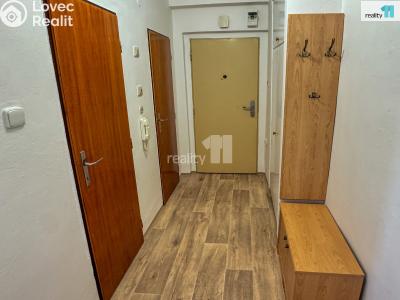 Pronájem bytu 2+1 Plzeň, Stanko Vodičky č. 14