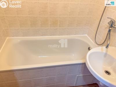 Pronájem bytu 2+1 Plzeň, Stanko Vodičky č. 11