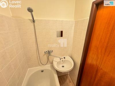 Pronájem bytu 2+1 Plzeň, Stanko Vodičky č. 31