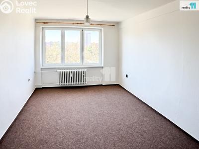 Pronájem bytu 2+1 Plzeň, Stanko Vodičky č. 25