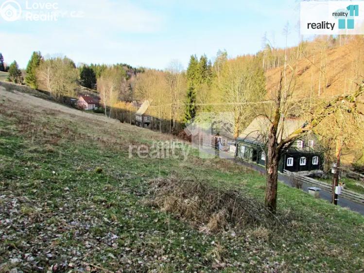 Prodej louky Krásná Lípa č. 1