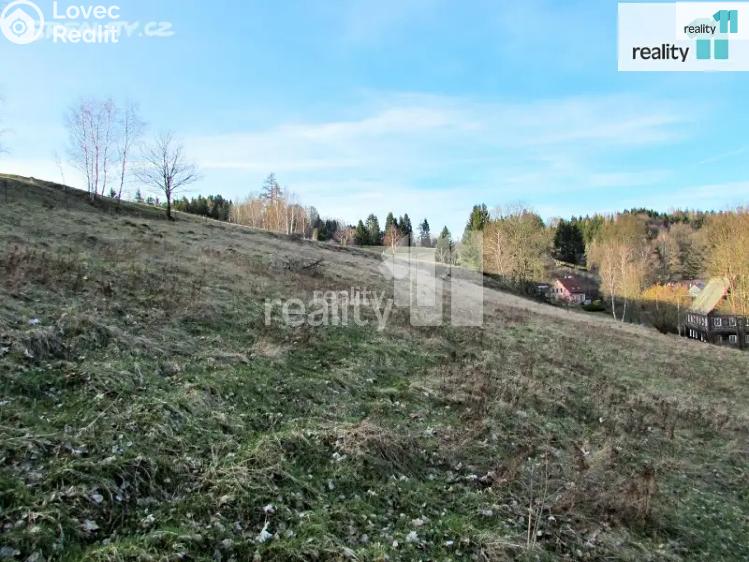 Prodej louky Krásná Lípa č. 2