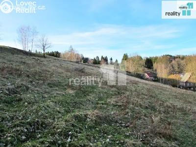 Prodej louky Krásná Lípa č. 2