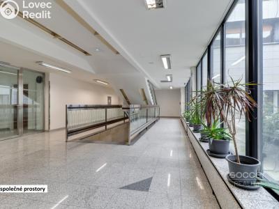 Pronájem obchodního prostoru Praha, Sokolovská č. 8