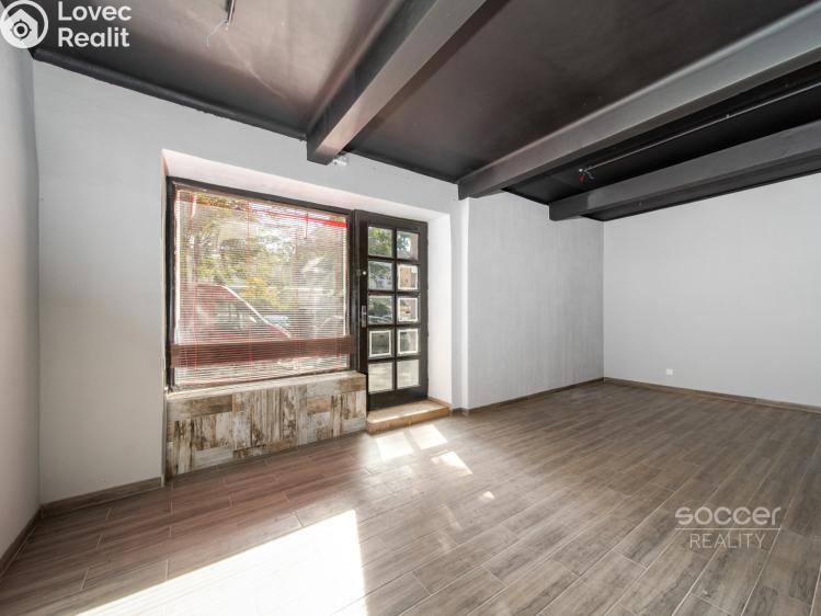 Prodej obchodního prostoru Praha, Biskupcova č. 1