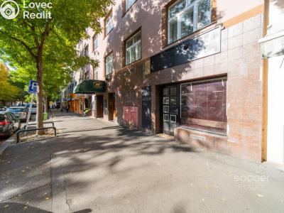 Prodej obchodního prostoru Praha, Biskupcova č. 2