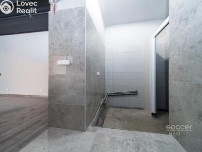 Prodej obchodního prostoru Praha, Biskupcova č. 8