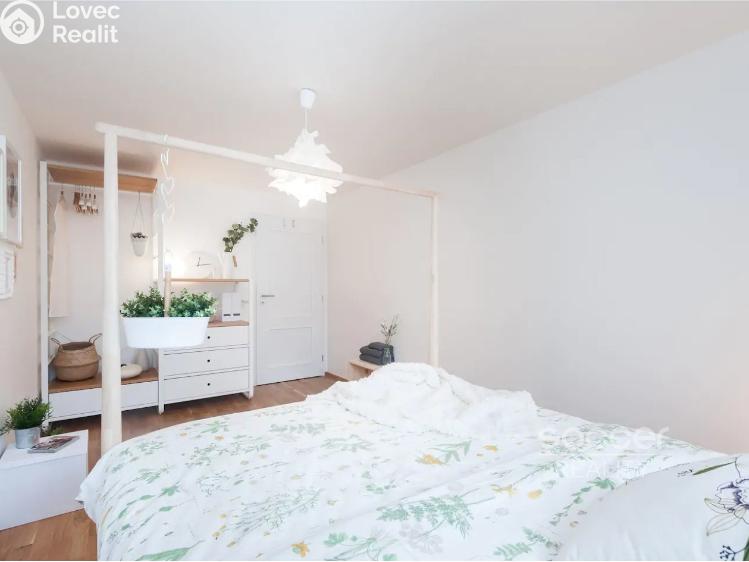 Pronájem bytu 2+KK Praha, Ježkova 741/16 č. 8