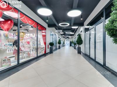 Pronájem obchodního prostoru Praha, Sokolovská č. 5