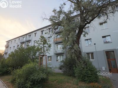 Pronájem bytu 2+1 Praha, Zelenečská č. 10