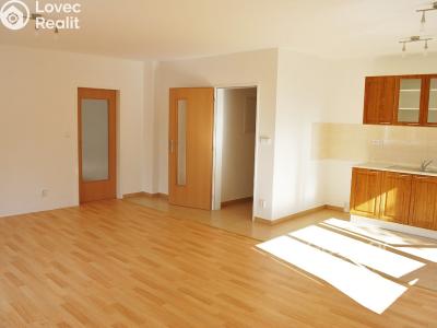 Pronájem bytu 4+KK Praha, Na lávce č. 2