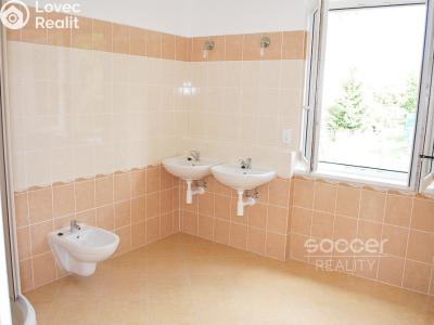 Pronájem bytu 4+KK Praha, Na lávce č. 6