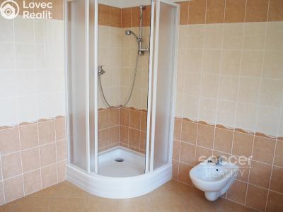 Pronájem bytu 4+KK Praha, Na lávce č. 7