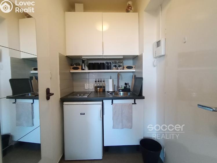 Pronájem bytu 1+KK Praha, Evropská 10/64 č. 3