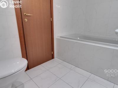 Pronájem bytu 2+1 Praha, Podvinný mlýn č. 13