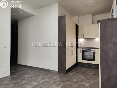 Pronájem bytu 2+KK České Budějovice, Branišovská 1760 č. 7