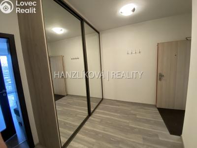 Pronájem bytu 1+KK České Budějovice č. 3