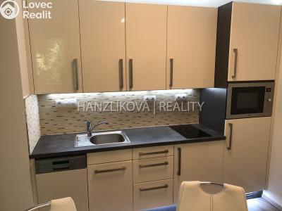 Pronájem bytu 1+KK České Budějovice č. 7