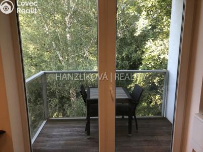 Pronájem bytu 1+KK České Budějovice č. 10